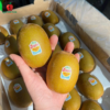 Kiwi vàng Zespri Newzealand