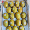 Kiwi vàng Zespri Newzealand